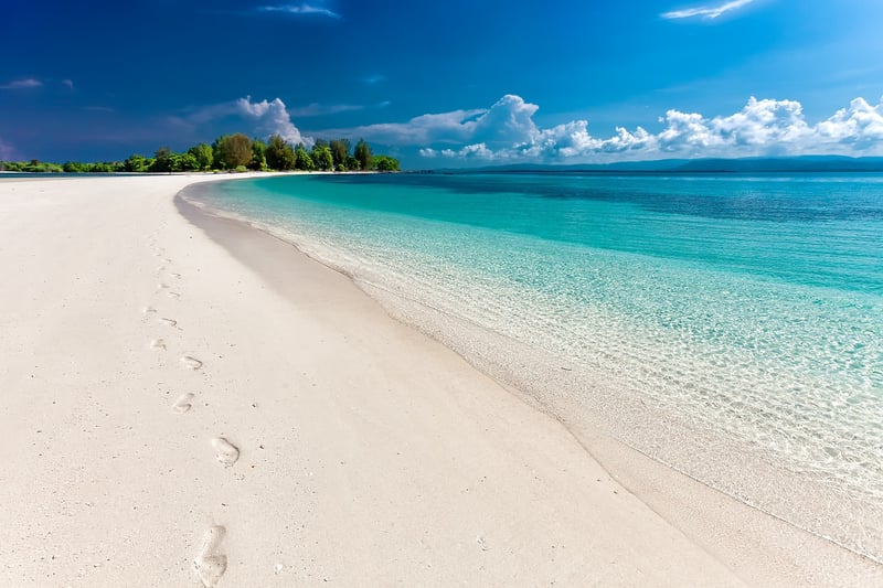 Moonlit Beaches