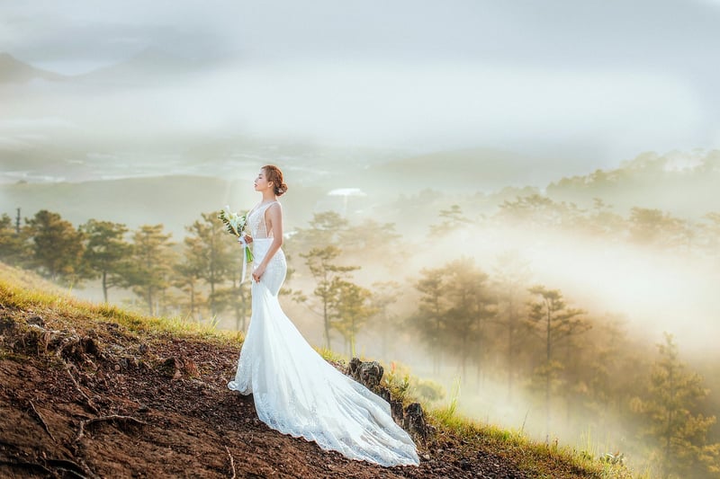 Enchanted Forest