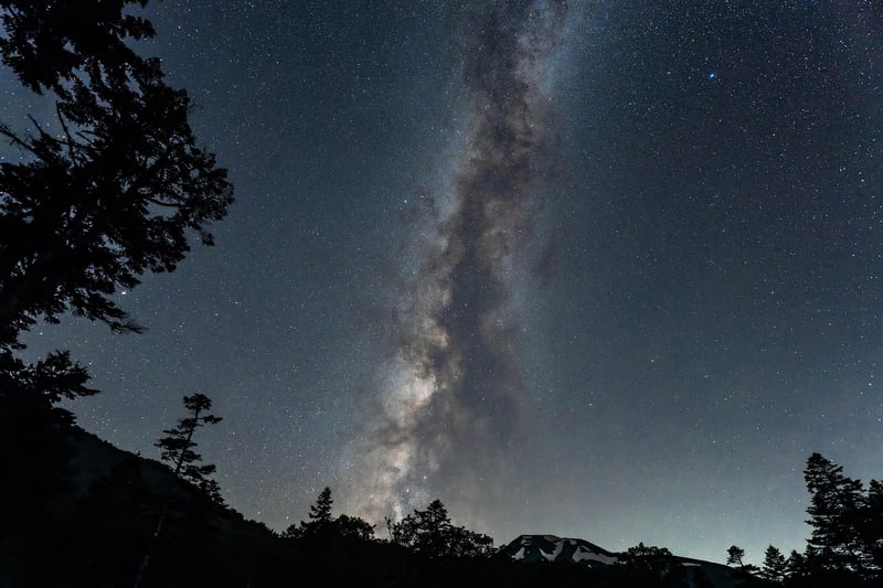 Starlit Skies